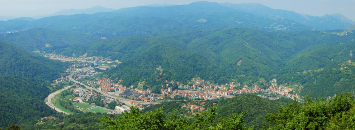 Ronco_panorama_montereale.jpg